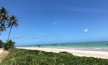 Qué hacer en São Miguel dos Milagres, el pueblo brasileño ideal para vacacionar | Escapadas