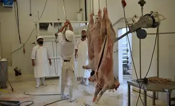 El consumo de carne cayó al nivel más bajo en dos décadas | Consumo