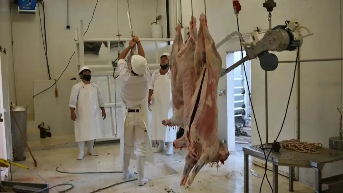 El consumo de carne está en el nivel más bajo en dos décadas