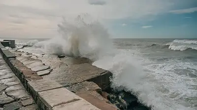 La inesperada conexión entre los meteotsunamis en Argentina y la irupción de un volcán en el Pacífico La inesperada conexión entre los meteotsunamis en Argentina y la irupción de un volcán en el Pacífico