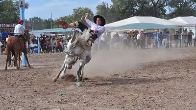 Dónde ver el video del jinete que cayó en Jesús María. Dónde ver el video del jinete que cayó en Jesús María.