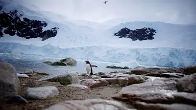 Un nuevo mapa revela el paisaje oculto bajo la capa de hielo de la Antártida Un nuevo mapa revela el paisaje oculto bajo la capa de hielo de la Antártida