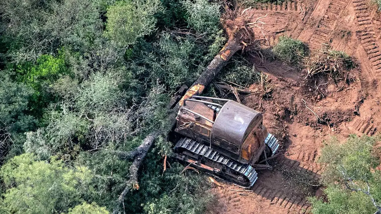 Crisis ecológica en el Chaco: la Justicia vuelve a impulsar la megacausa por desmontes en la provincia