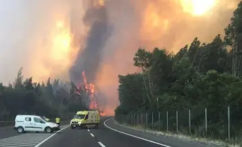 Se suspendió el amistoso de Racing en Chile: los motivos | Fútbol argentino