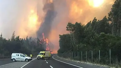 Alerta por incendios en Chubut: se intensificó el fuego y hay cerca de 30 mil hectáreas quemadas Alerta por incendios en Chubut: se intensificó el fuego y hay cerca de 30 mil hectáreas quemadas