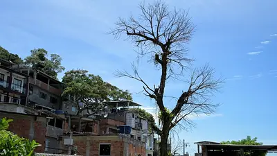 Desigualdad por calor: estudio mide consecuencias del cambio climático en favelas de Río de Janeiro Desigualdad por calor: estudio mide consecuencias del cambio climático en favelas de Río de Janeiro