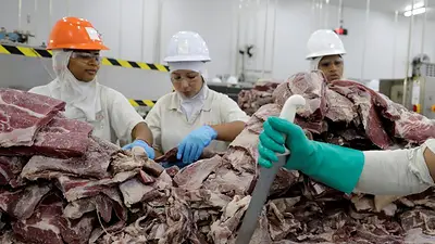 Exportaciones brasileñas de carne de vacuno se prevén estables en 2026 pese a medidas chinas: ABIEC Exportaciones brasileñas de carne de vacuno se prevén estables en 2026 pese a medidas chinas: ABIEC