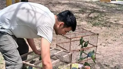20 animales vuelven a Tucumán tras estar en riesgo: fueron rescatados y rehabilitados 20 animales vuelven a Tucumán tras estar en riesgo: fueron rescatados y rehabilitados