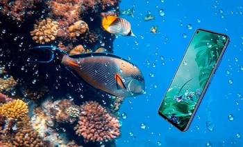 Consejos para sacar las mejores fotos bajo el agua | Celulares