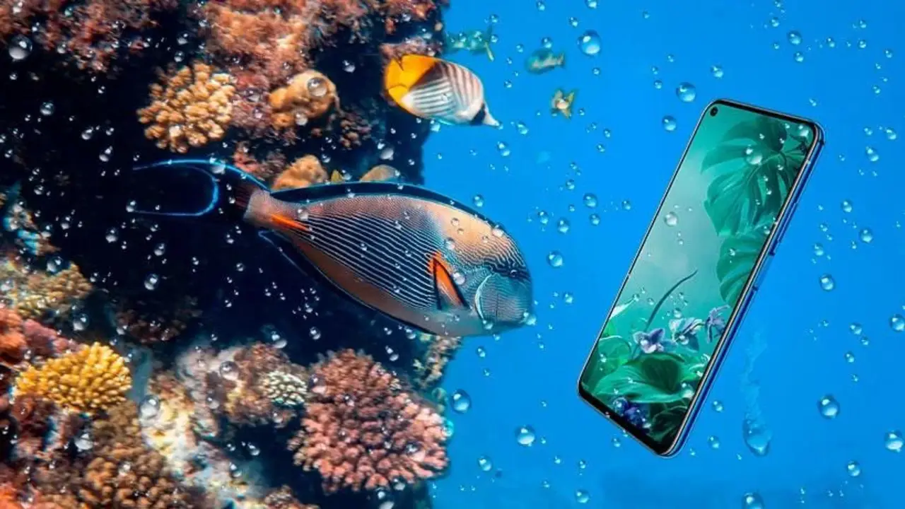 Cómo sacar buenas fotos bajo el agua