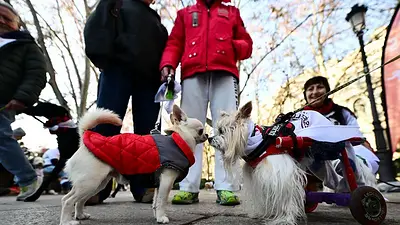 FDA de EEUU aprueba primer fármaco para retrasar la insuficiencia cardiaca en perros FDA de EEUU aprueba primer fármaco para retrasar la insuficiencia cardiaca en perros