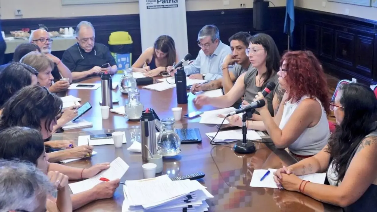El bloque de UP se reunió con el CELS y Aministía por el rechazo al DNU de la SIDE