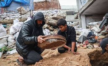 Busca los restos de su familia "bajo los escombros": la tragedia de los palestinos en Gaza | Conflicto en medio oriente