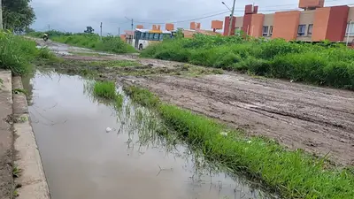 Los vecinos alertaron por la falta de mantenimiento, la presencia de maleza y pastos altos. (Foto: Jujuy al Momento). Los vecinos alertaron por la falta de mantenimiento, la presencia de maleza y pastos altos. (Foto: Jujuy al Momento).