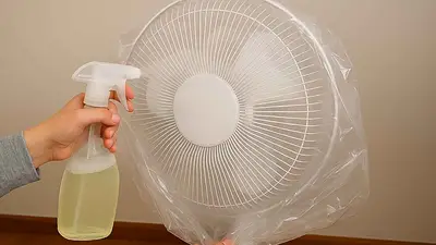 Consejos de limpieza Consejos de limpieza