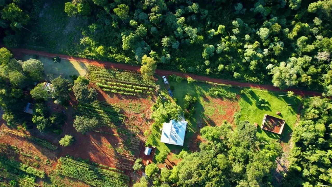 Misiones apuesta al ordenamiento del crecimiento urbano y el cuidado de la fauna con una inversión clave: los detalles