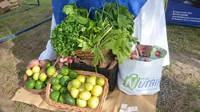 Con financiamiento provincial, Formosa garantiza la continuidad del Plan Nutrir para 18.500 familias Con financiamiento provincial, Formosa garantiza la continuidad del Plan Nutrir para 18.500 familias