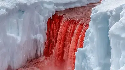 Cataratas de Sangre. Cataratas de Sangre.