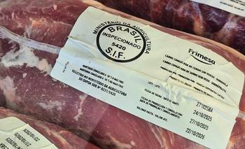 "Bondiolicidio": productores porcinos advierten por la ola importadora | Crisis económica