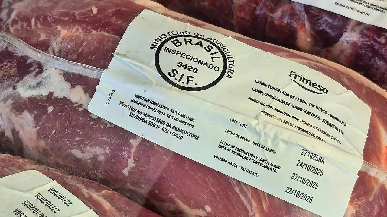 "Bondiolicidio": productores porcinos advierten por la ola importadora y el fin del negocio de la bondiola
