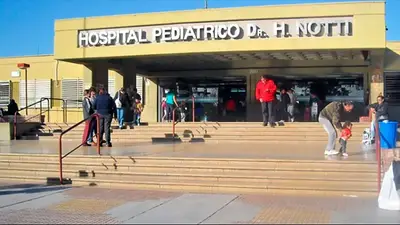 Murió el adolescente que se lanzó a un canal de Mendoza para salvar a su hermano Murió el adolescente que se lanzó a un canal de Mendoza para salvar a su hermano
