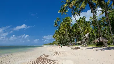 Tamandaré Tamandaré