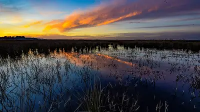 El Parque Nacional a solo 70 kilómetros de CABA con un “Ojo que gira” que inquieta a los científicos desde 2016 El Parque Nacional a solo 70 kilómetros de CABA con un “Ojo que gira” que inquieta a los científicos desde 2016