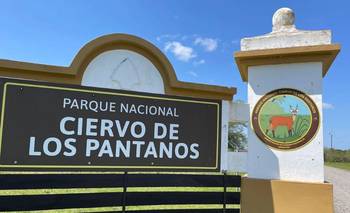 Milei acelera el ajuste en Parques Nacionales: nuevos despidos y crece el riesgo operativo | Javier milei presidente