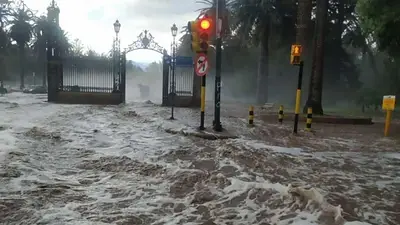 Un fuerte temporal arrasó el Gran Mendoza y parte de la capital provincial Un fuerte temporal arrasó el Gran Mendoza y parte de la capital provincial