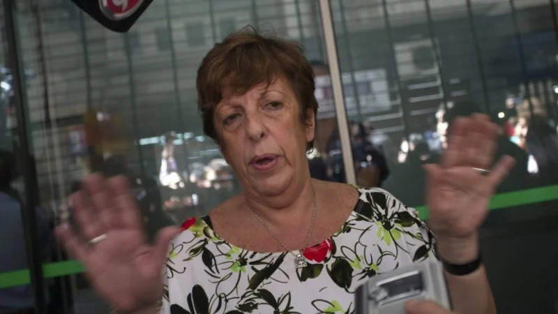 La fiscal admitió que pueden entrar personas a Le Parc "sin ser advertidas"