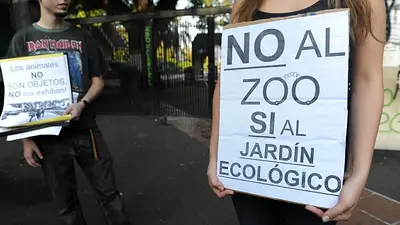 Denuncian al director del zoo porteño por tráfico de animales Denuncian al director del zoo porteño por tráfico de animales