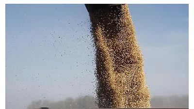 Productores vuelven a especular y la liquidación de divisas cae 40% Productores vuelven a especular y la liquidación de divisas cae 40%