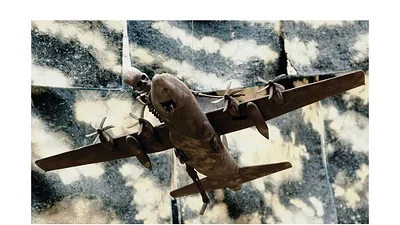 Pájaros negros en el cielo Pájaros negros en el cielo