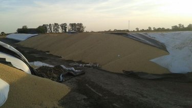 Guiño de un sector del campo al gobierno de Alberto