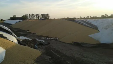 Guiño de un sector del campo al gobierno de Alberto