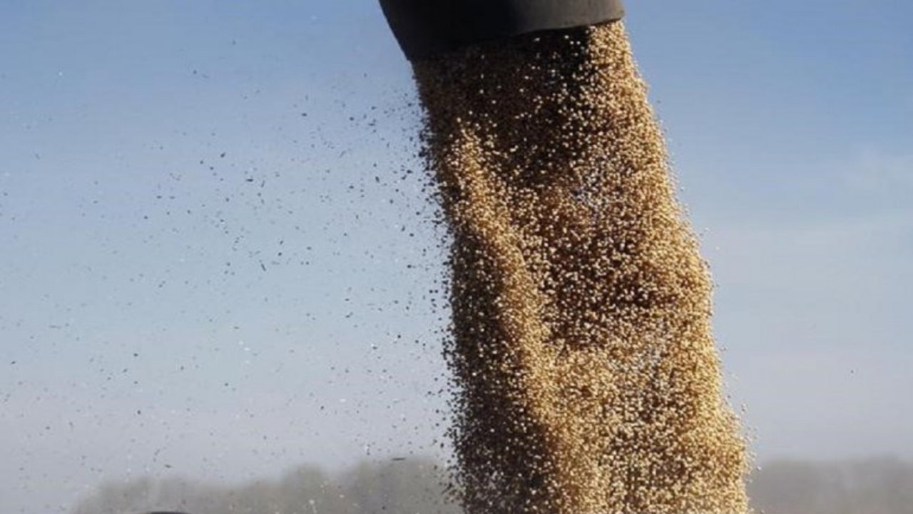 La soja sube 0,7% a u$s 369,65