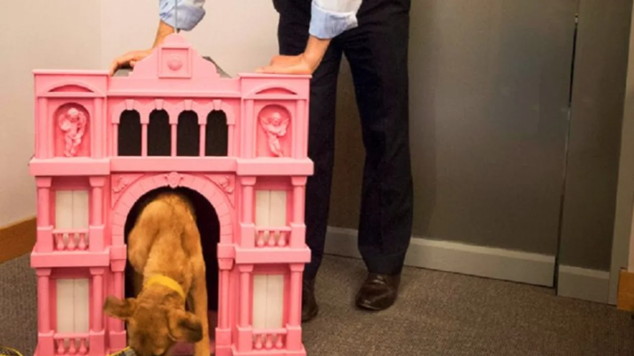 Yasky: "Creo que a nosotros nos va a recibir el perrito Balcarce"