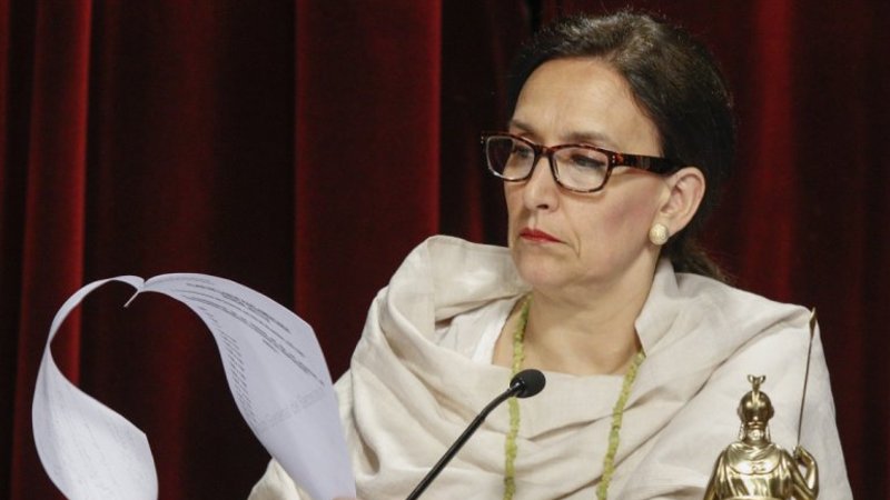 En medio del debate por los extranjeros, Michetti subió un video polémico