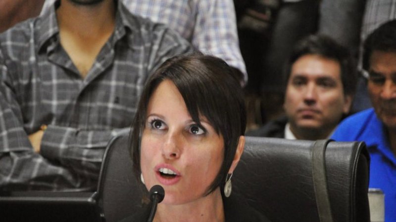 Pokoik: "El que está decidiendo que las clases no empiecen es el gobierno de Macri"