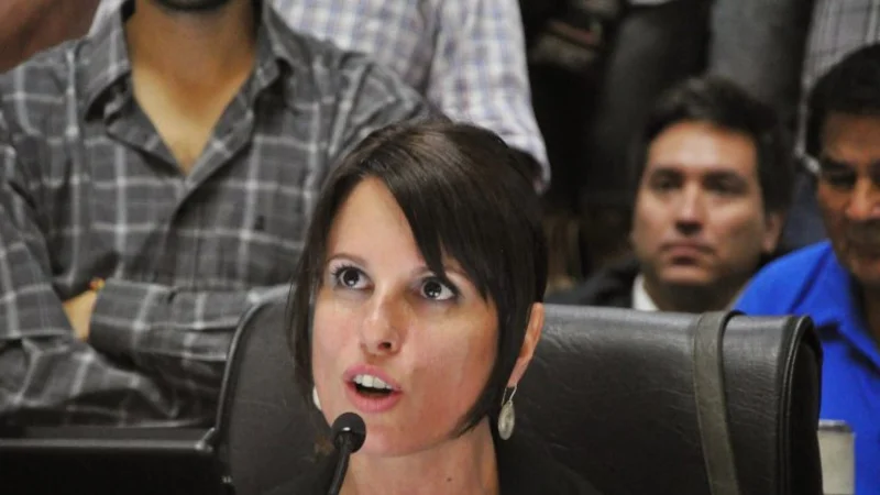 Pokoik: "El que está decidiendo que las clases no empiecen es el gobierno de Macri"