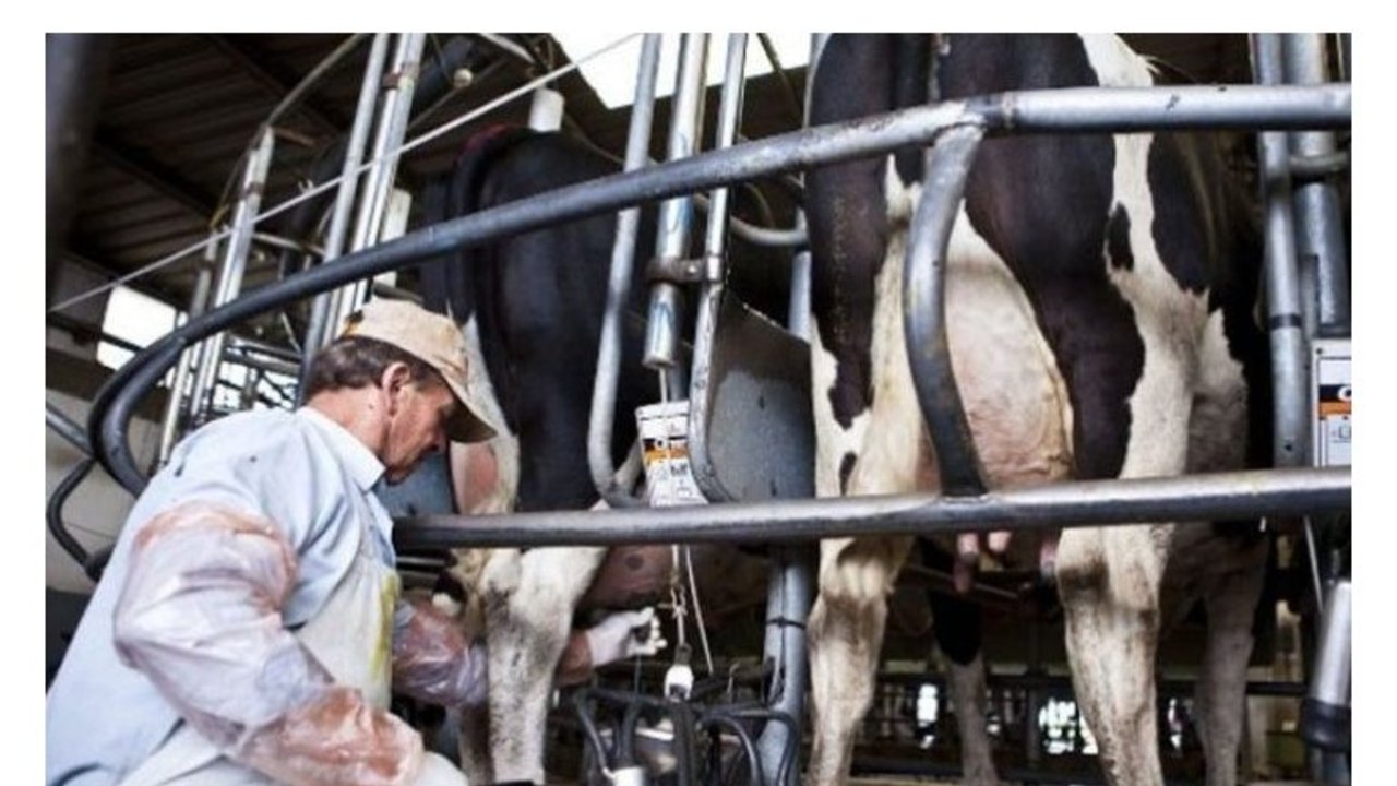 Cierra la fábrica que Ilolay tenía en Santa Fe