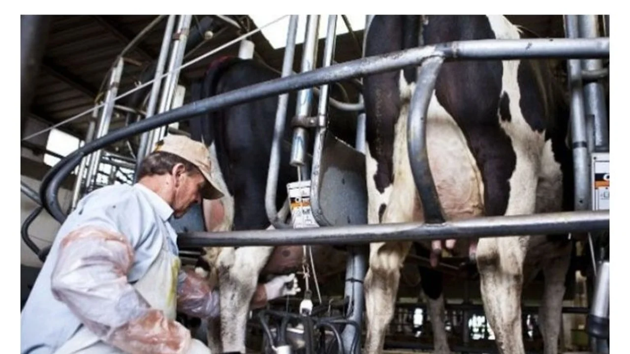 Cierra la fábrica que Ilolay tenía en Santa Fe