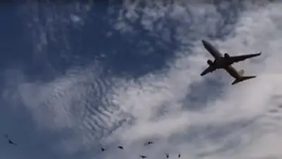 VIDEO: Así despegó el avión de Flybondi a pocos metros de un colegio VIDEO: Así despegó el avión de Flybondi a pocos metros de un colegio