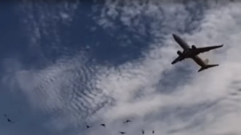 VIDEO: Así despegó el avión de Flybondi a pocos metros de un colegio
