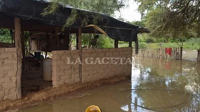 Salta: la desoladora imagen luego de la inundación Salta: la desoladora imagen luego de la inundación
