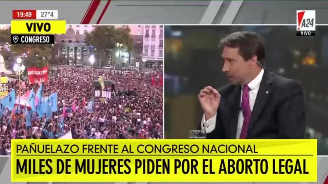 Feinmann comparó la marcha por la legalización del aborto con los "30 mil desaparecidos" y descargó su furia