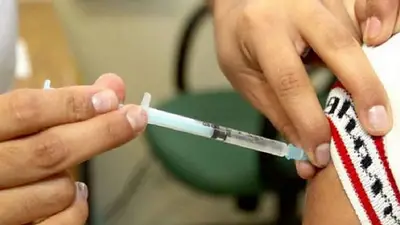 Preocupación en la región por el aumento de casos de fiebre amarilla en Brasil Preocupación en la región por el aumento de casos de fiebre amarilla en Brasil