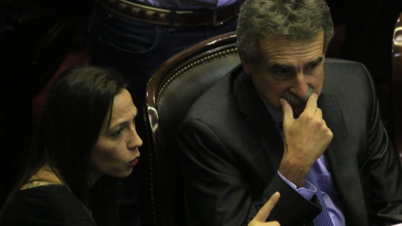 Desde La Cámpora afirman que "Cristina está contenta que se debata sobre el aborto"