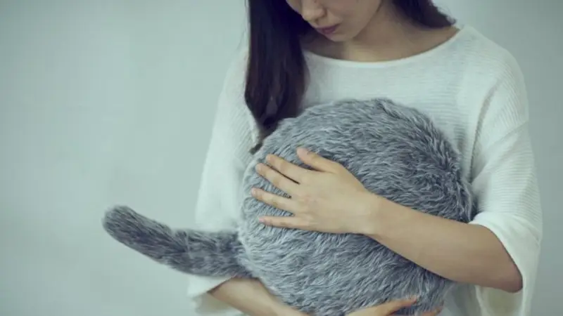 Ingenioso invento chino para las personas que no pueden tener mascotas