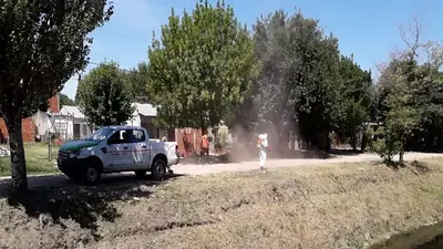 Una joven atropelló a tres vigiladores mientras volvía a su country y mató a uno Una joven atropelló a tres vigiladores mientras volvía a su country y mató a uno